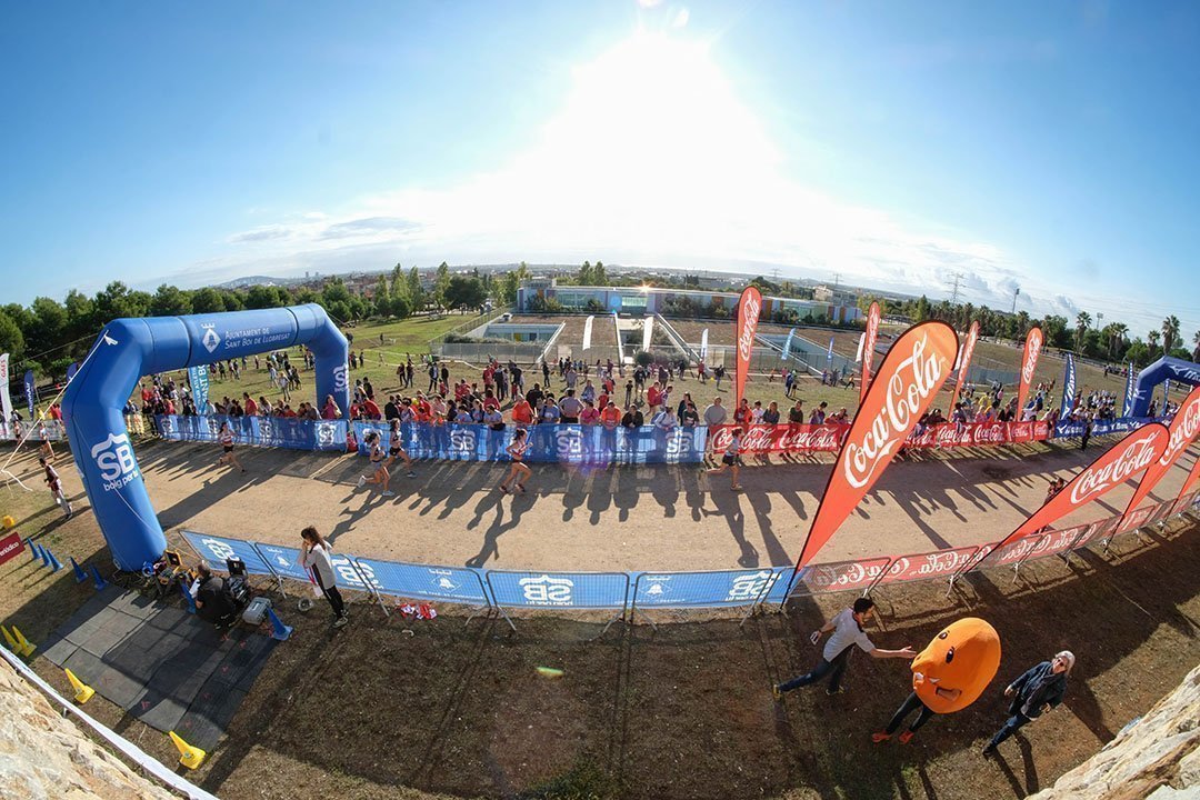 37155304393 Cbfc498a86 O